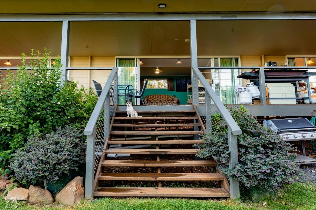 דובו Bulwarra Bed & Breakfast מראה חיצוני תמונה